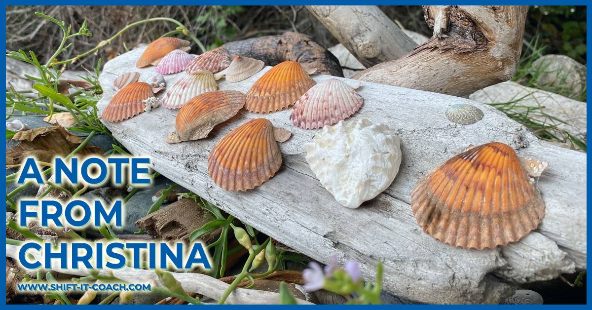 eZine banner for A Note From Christina: beautiful seashells displayed on weathered driftwook against the green of the forest as a backdrop.