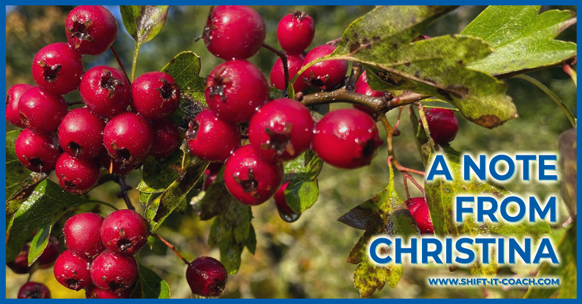 Banner image for A Note From Christina section of the eZine shows the title against a sprig of impossibly bright red small berries.