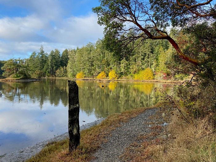 Bright sunny fall day at the lake in Vancouver Island, British Columbia