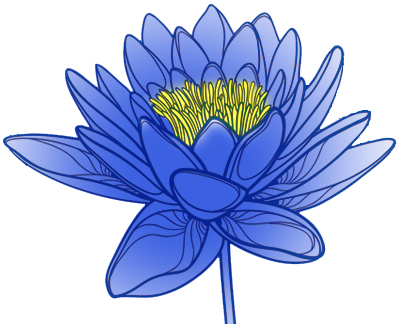 line art blue lotus pods