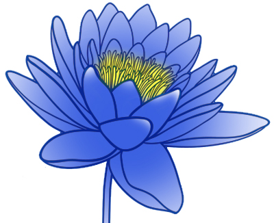 line art blue lotus pods